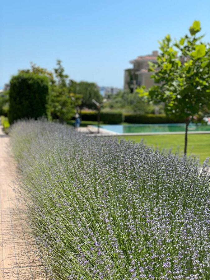Provence Deluxe Apartment In Atia Resort 체르노모레츠 외부 사진